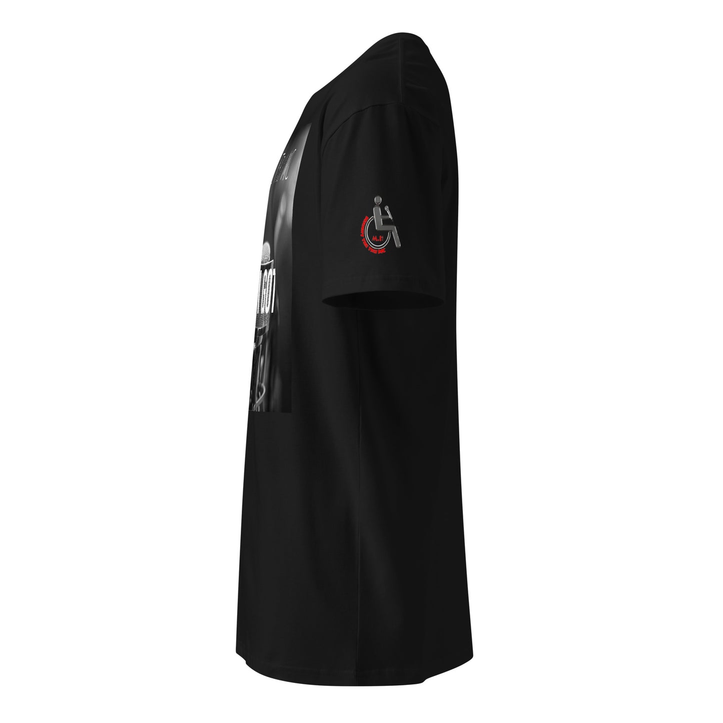 ALL I GOT COVER ART Unisex premium t-shirt