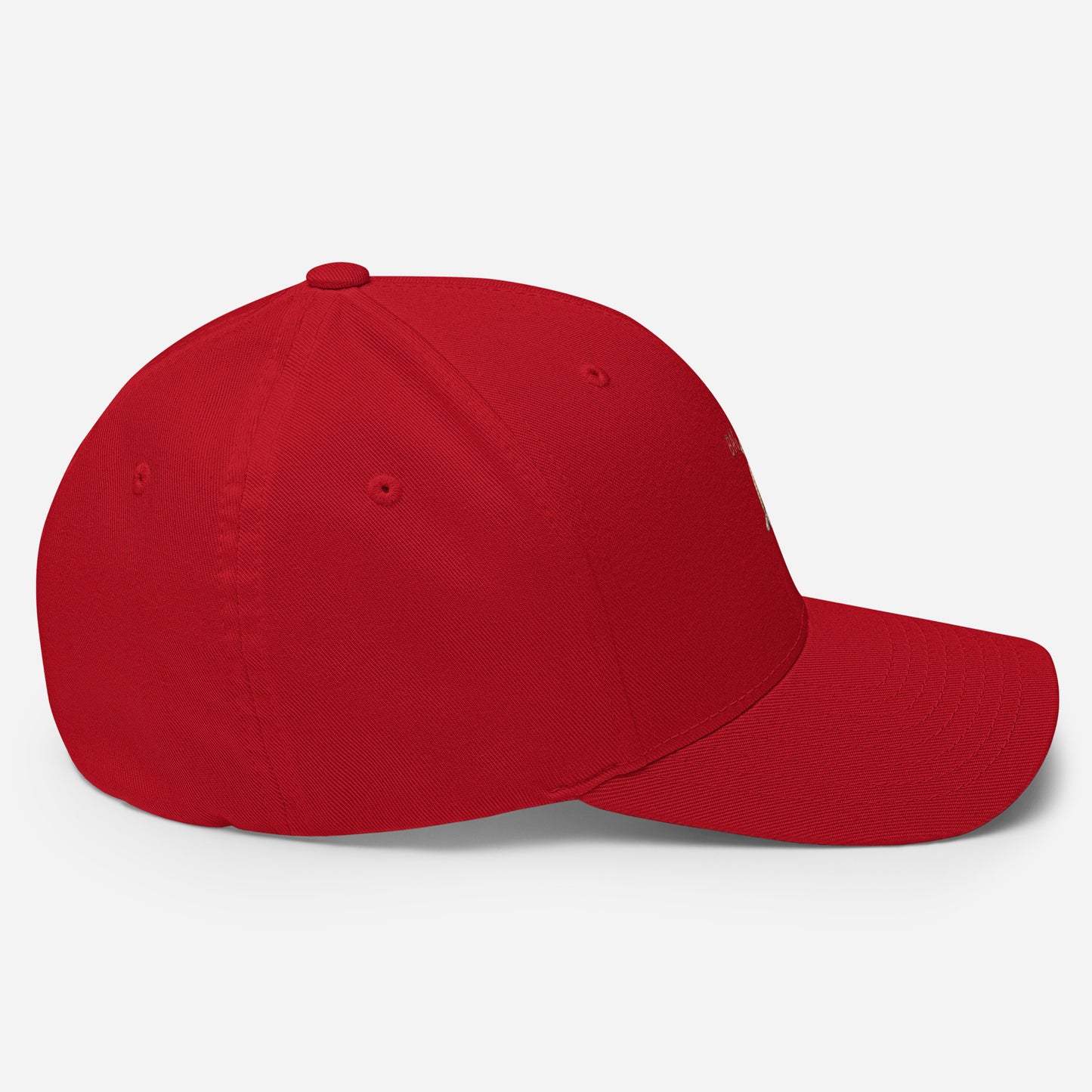 BAG GANG Structured Twill Cap