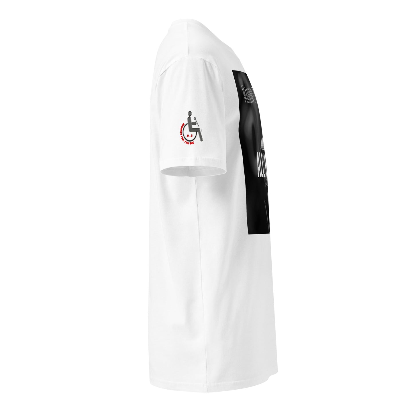 ALL I GOT COVER ART Unisex premium t-shirt