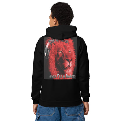 Music is my ID Youth heavy blend hoodie